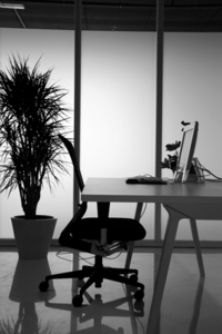 Bureau de Liaison en France