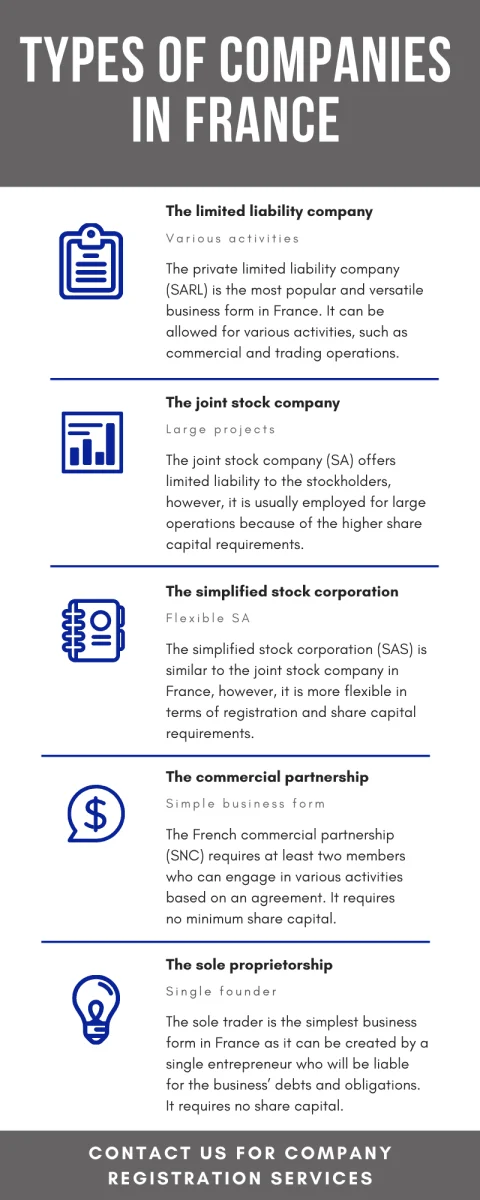 Types-of-companies-in-France.png