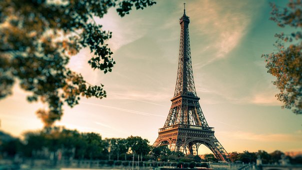 Set up a Simplified Stock Corporation in France